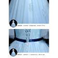 Women's Evening Dress 2018 Latest Prom Dress Feather Slim Arm Tulle Light Blue Celebrity Dress